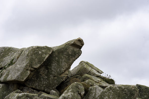 Bild: Das Umfeld der Maison le Gouffre, Bretagne 