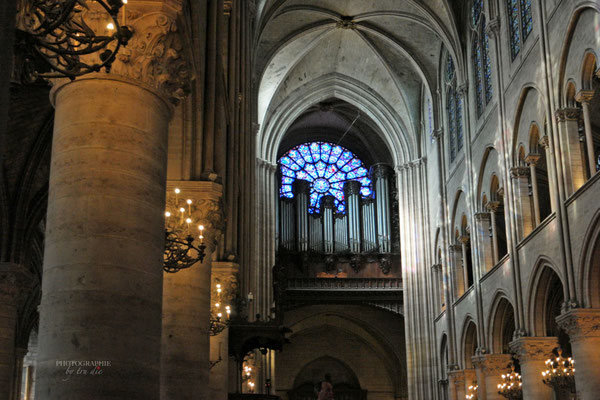 Bild: Cathédrale Notre-Dame de Paris  