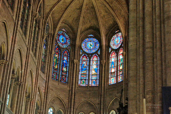 Bild: Cathédrale Notre-Dame de Paris  