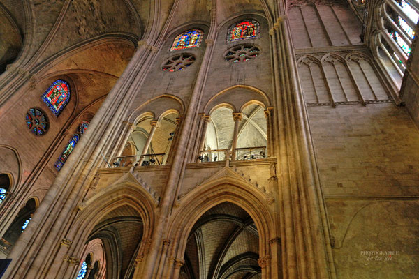 Bild: Cathédrale Notre-Dame de Paris    