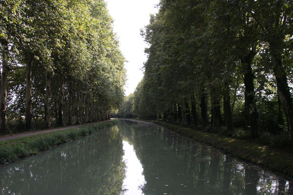 Hausboot-Tour auf dem Canal de Montech, Canal Latéral à la Garonne und Petite Baise 