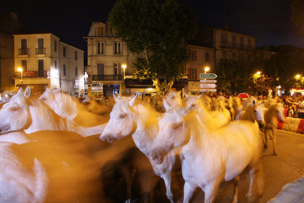 Bild: Melonenfest Cavaillon