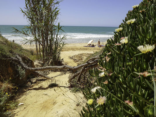 Bild: Praia da Falésia