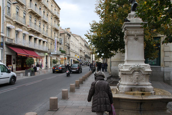 Bild: Hauptgeschäftsstraße, Avignon