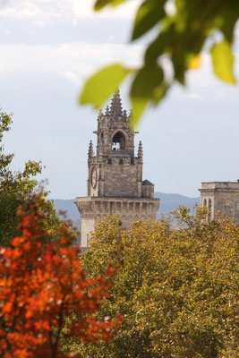 Bild: Uhrturm, Avignon