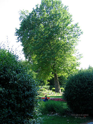 Bild: Impressionen aus dem Parc de Bercy in Paris 