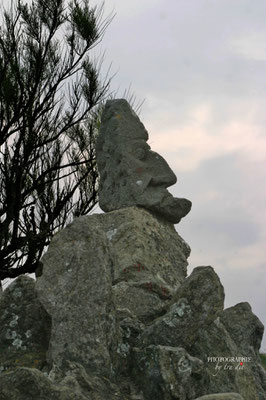 Bild: Les Rochers sculptés de Rothéneuf 