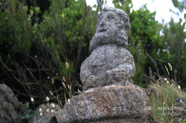 Bild: Les Rochers sculptés de Rothéneuf 