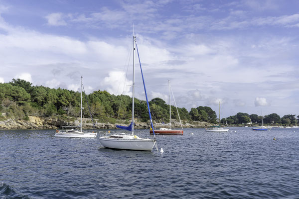 Bild: Bootstour in Concarneau in der Bretagne 