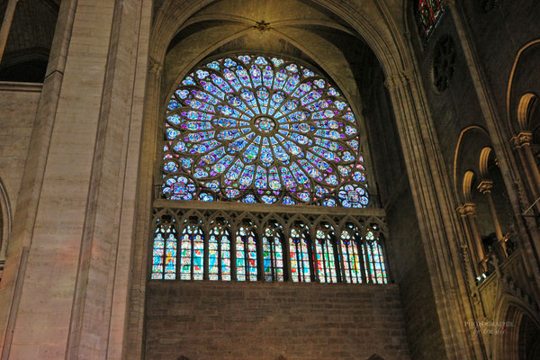 Bild: Cathédrale Notre-Dame de Paris  