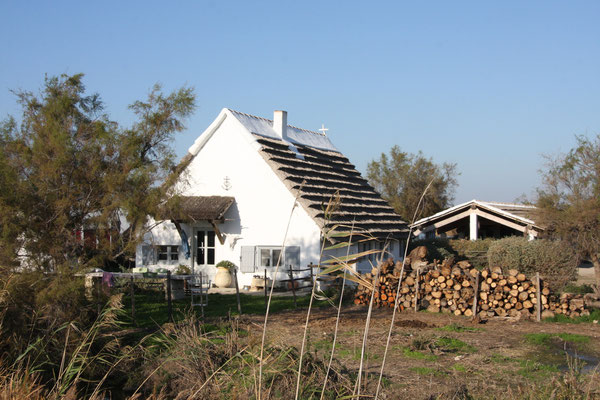 Bild: Bauernhaus in der Camargue