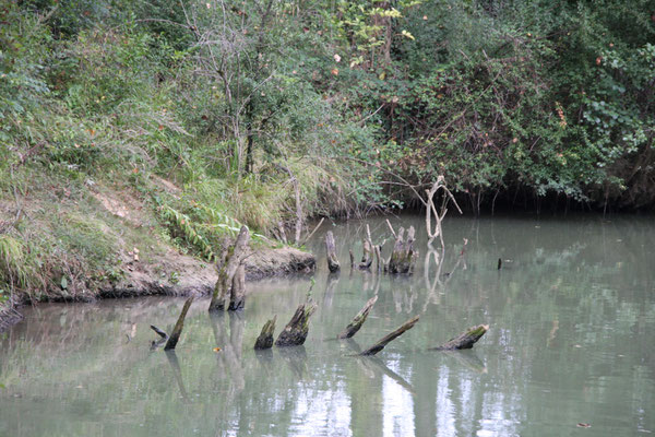 Hausboot-Tour auf dem Canal de Montech, Canal Latéral à la Garonne und Petite Baise 