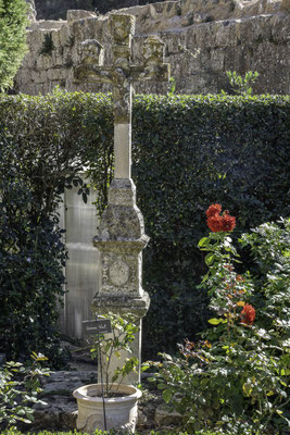 Bild: im Garten der Abbaye Saint-Marie de Fontfroide 