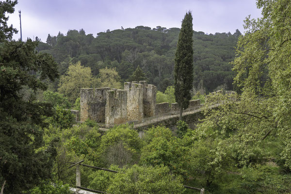 Bild: Castelo de Tomar 