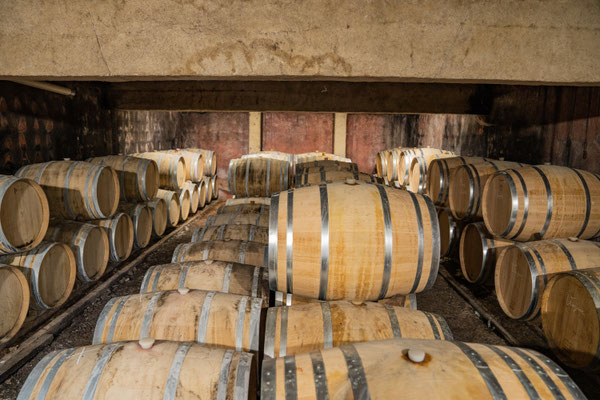 Bild: Vignobles Chasson, Château Blanc, Roussillon - Im Barrique-Keller 