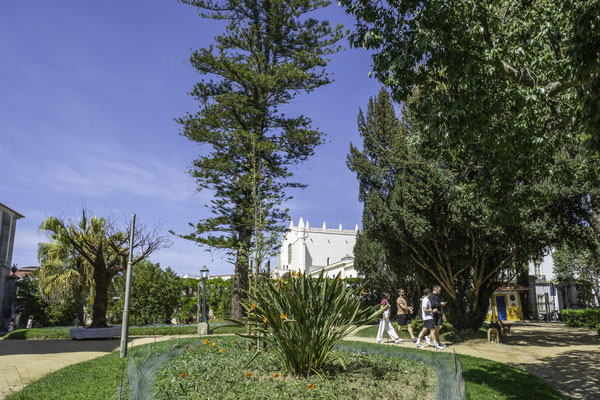 Bild: Der Jardim Publico und der Palácio de Dom Manuel in Évora 