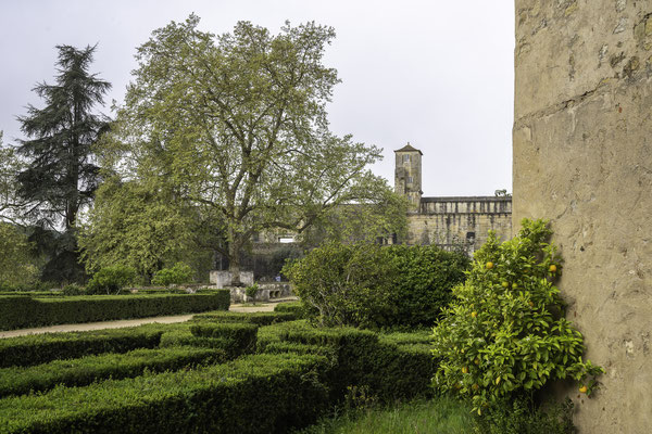 Bild: Castelo de Tomar