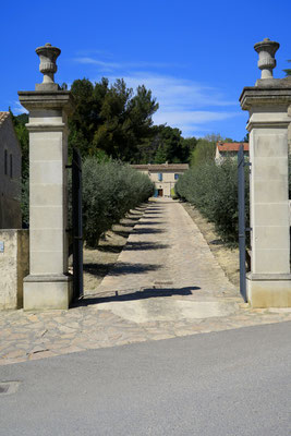 Bild: Cadenet, in der Provence