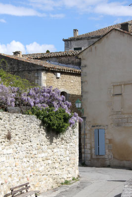 Bild: Frühling in Ménerbes