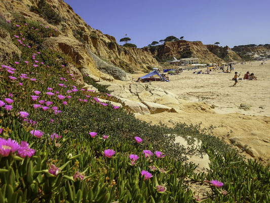 Bild: Praia da Falésia 