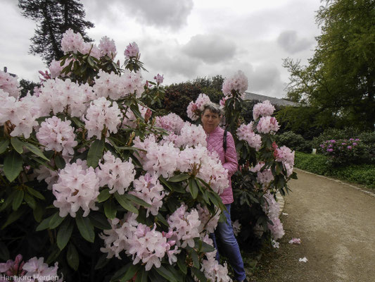 Bild: Jardin des Plantes in Avranches, Normandie 