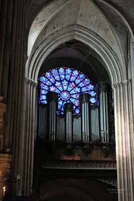 Bild: Cathédrale Notre-Dame de Paris   