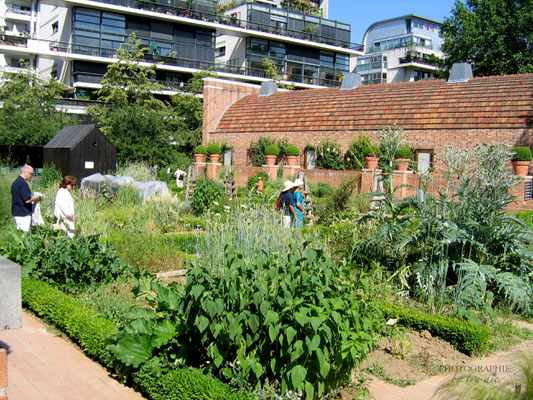 Bild: Impressionen aus dem Parc de Bercy in Paris 