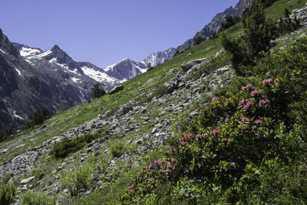 Auf dem Weg zum Lac de Gaube