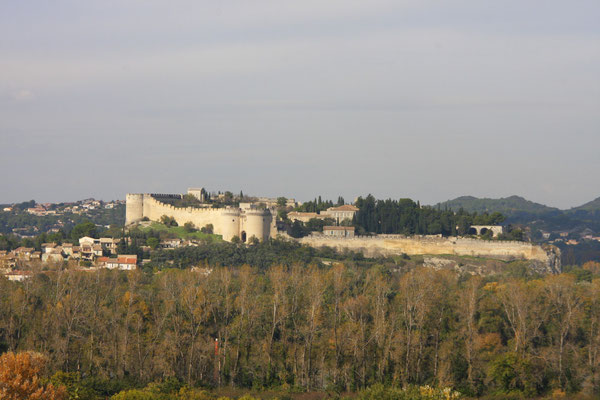 Bild: Chateau in Villeneuve-les-Avignon von Avignon aus