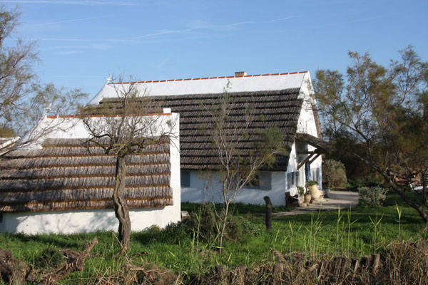 Bild: Bauernhaus der Camargue