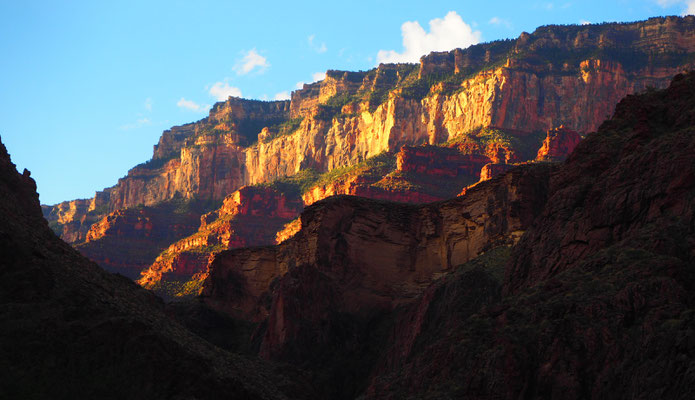Der Grand Canyon Rim To Rim Alpintiger Adventures