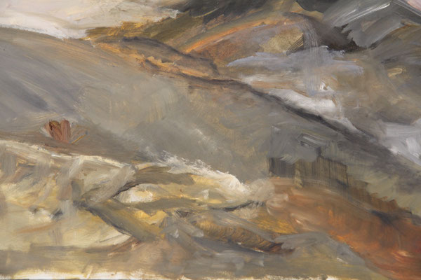 Wüste Negev, IV, Öl auf Papier, ca. 50x70, 2020, Ausschnitt