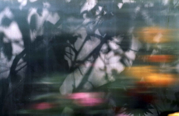 "you will find me if you want me in the garden unless it´s pouring down with rain N11", 2006, 75x50cm, D-Print auf Alu