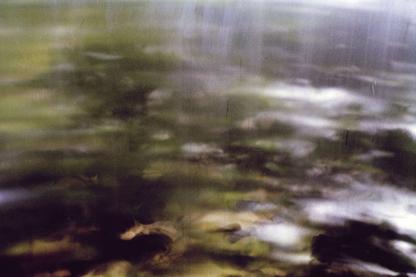 "you will find me if you want me in the garden unless it´s pouring down with rain N5", 2006, 75x50cm, D-Print auf Alu