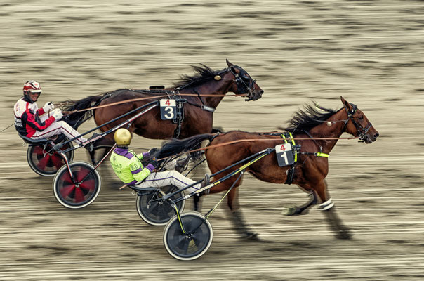 3. Platz beim Fotowettbewerb NÖ Nord 2021 - Thema Sport