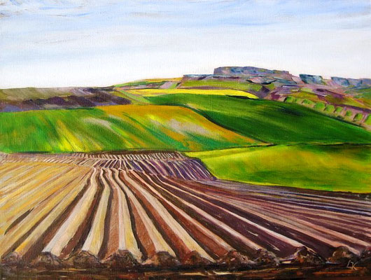 Landschaft im Weinviertel Arcyl auf Leinen 60x80