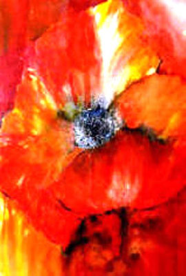 Roter Mohn