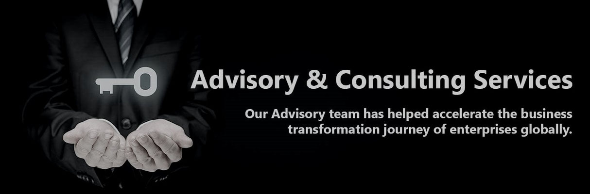 Advisory and consultancy support services 