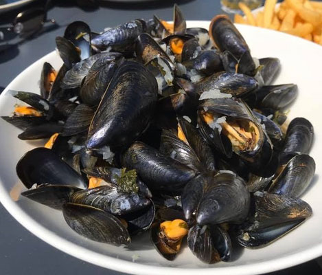 Meeresfrüchte in der Bretagne, Fisch und Krustentiere frisch vom Boot