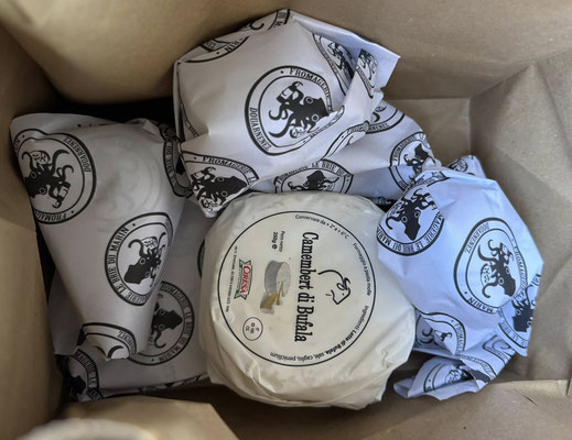 Fromagerie Le Brie du Marin, Douarnenez, Käseladen, Käseplatten, Raclette und mehr