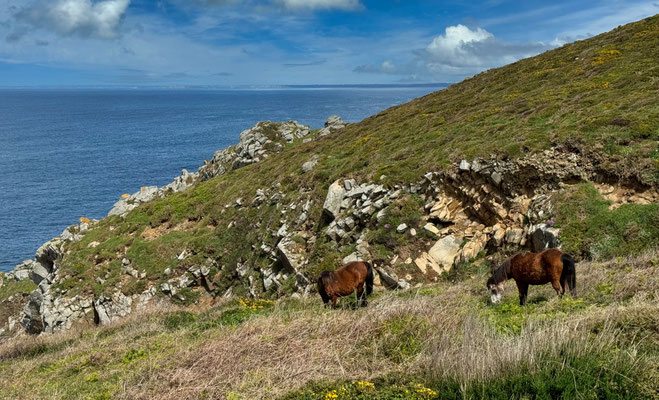 Goulien, Cap Sizun, Bucht von Douarnenez, Wandern auf dem GR34