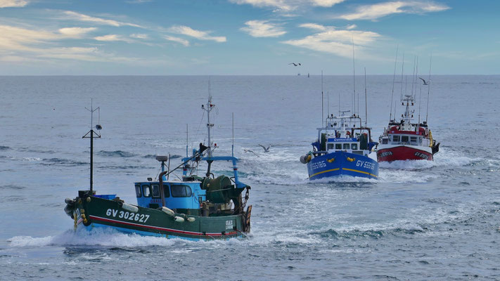 Das Einlaufen der Fischerboote in Le Guilvinec, Einlaufparade