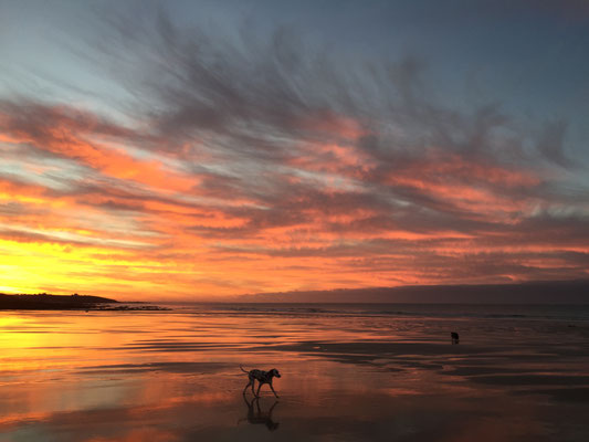Morgenstimmung am Strand von Mesperleuc, Plouhinec, Ferienhaus Tal Ar Mor