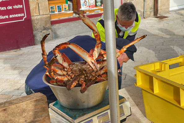 Markt in Audierne, Cap Sizun, Seespinne