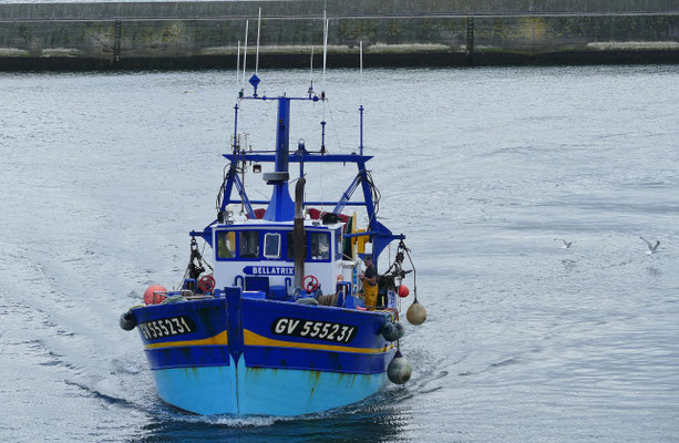 Ankunft der Fischerboote im Hafen von Le Guilvinec