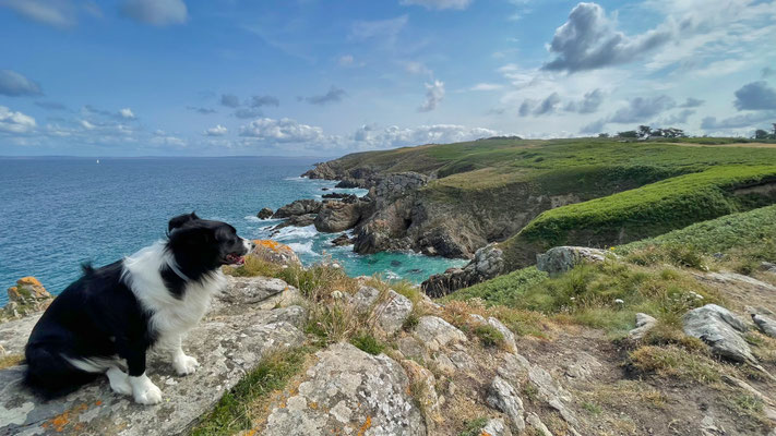 Küstenwanderweg GR34, Cap Sizun, Finistère, Bucht von Douarnenez, Zöllnerweg, Pors Péron zur Pointe du Millier, wandern, Atlantik