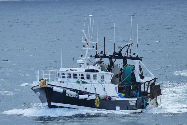 Ankunft der Fischerboote im Hafen von Le Guilvinec