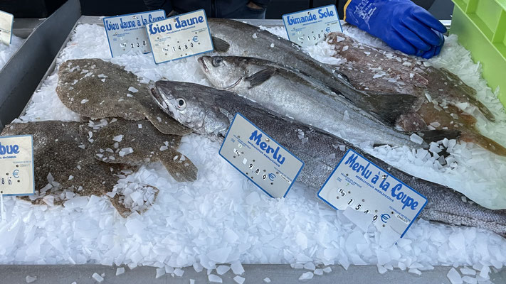 Meeresfrüchte in der Bretagne, Fisch und Krustentiere frisch vom Boot