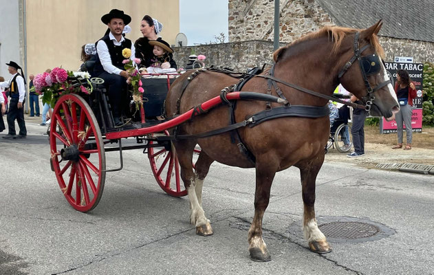 Fête des Bruyères, Beuzec-Cap-Sizun, Finistère, Bretagne