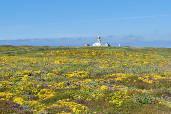 GR34, Baie des Trépassés - Pointe du Raz, Cap Sizun